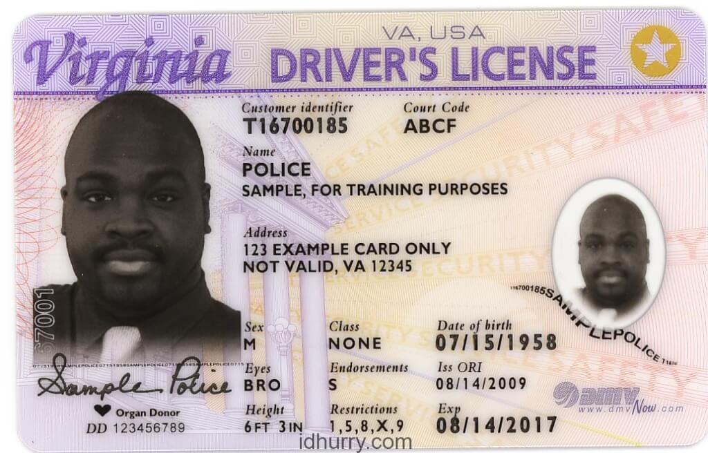 50 states driver license samples